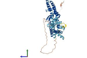 Protein Structure (PS) image for Potassium Voltage-Gated Channel, Subfamily F, Member 1 (KCNF1) (AA 1-494) protein (His tag) (ABIN7548734)