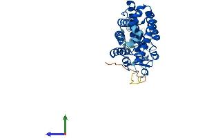 AlphaFold protein structure predicition of Mouse Recombinant Nr1i3 Protein, UniprotID O35627