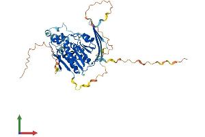 Protein Structure (PS) image for Abhydrolase Domain Containing 8 (ABHD8) (AA 1-439) protein (His tag) (ABIN7559640)