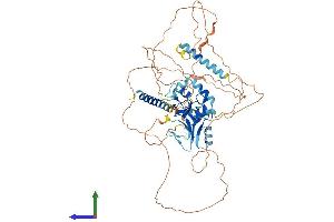 Protein Structure (PS) image for Ring Finger Protein 180 (RNF180) (AA 1-592) protein (His tag) (ABIN7557154)