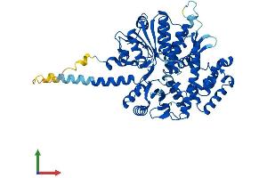 Protein Structure (PS) image for Cell Division Cycle 45 Homolog (S. Cerevisiae) (CDC45) (AA 1-566) protein (His tag) (ABIN7556397)