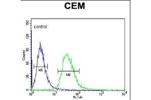 TSN7 Antibody (Center) (ABIN651068 and ABIN2840057) flow cytometric analysis of CEM cells (right histogram) comred to a negative control cell (left histogram). (Tetraspanin 7 抗体  (AA 98-124))