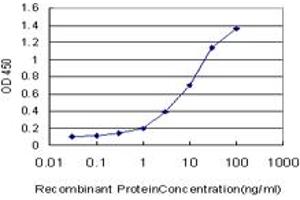 Detection limit for recombinant GST tagged FGF21 is approximately 0. (FGF21 抗体  (AA 30-209))