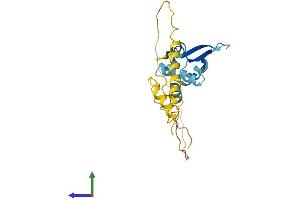 Protein Structure (PS) image for Melanoma Antigen Family H, 1 (MAGEH1) (AA 1-218) protein (His tag) (ABIN7561719)