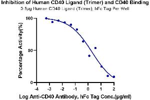 Binding Studies (Bind) image for CD40 (CD40) (AA 21-193) protein (His-Avi Tag,Biotin) (ABIN7274186)