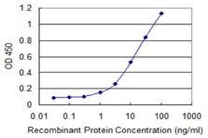 Detection limit for recombinant GST tagged RAB3C is 0. (Rab3c 抗体  (AA 1-227))