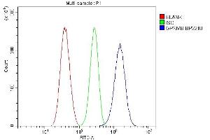 Flow Cytometry analysis of U87 cells using anti-Gpnmb antibody (ABIN7600217). (Osteoactivin 抗体  (AA 164-564))