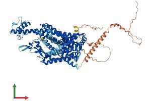 Protein Structure (PS) image for Solute Carrier Family 6, Member 17 (SLC6A17) (AA 1-727) protein (His tag) (ABIN7558699)