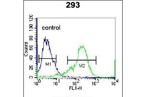 NKX1-2 Antibody (N-term) (ABIN655691 and ABIN2845148) flow cytometric analysis of 293 cells (right histogram) compared to a negative control cell (left histogram). (NKX1-2 抗体  (AA 46-74))