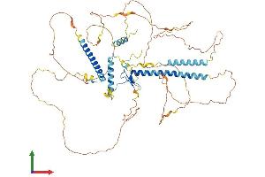 Protein Structure (PS) image for GATA Zinc Finger Domain Containing 2A (GATAD2A) (AA 1-633) protein (His tag) (ABIN7550485)