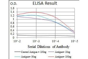 Image no. 1 for anti-delta-Like 4 (DLL4) antibody (ABIN1491404) (DLL4 抗体)