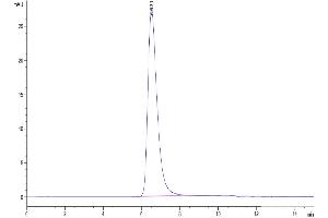 Size-exclusion chromatography-High Pressure Liquid Chromatography (SEC-HPLC) image for SARS-CoV-2 Spike S1 (D614G) protein (His-Avi Tag) (ABIN7274404)