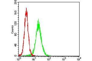 Flow Cytometry (FACS) image for anti-Catenin, beta Like 1 (CTNNBL1) (AA 390-557) antibody (ABIN5542408)