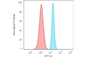 Flow Cytometric Analysis of HeLa cells using Spectrin beta III Rabbit Recombinant Monoclonal Antibody (SPTBN2/2887R) followed by Goat anti-rabbit IgG-CF488 (Blue); Isotype Control (Red). (Recombinant Spectrin, Beta, Non-erythrocytic 2 (SPTBN2) (AA 356-475) 抗体)