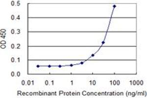 Detection limit for recombinant GST tagged ST3GAL4 is 3 ng/ml as a capture antibody. (ST3GAL4 抗体  (AA 31-130))