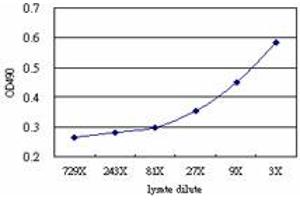 Sandwich ELISA detection sensitivity ranging from approximately 27x to 3x dilution of the BCS1L 293T overexpression lysate (non-denatured).