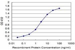 Detection limit for recombinant GST tagged TAOK3 is approximately 0. (TAO Kinase 3 抗体  (AA 809-898))