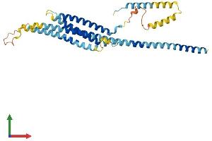 Protein Structure (PS) image for Syntaxin 16 (STX16) (AA 1-325) protein (His tag) (ABIN7544041)