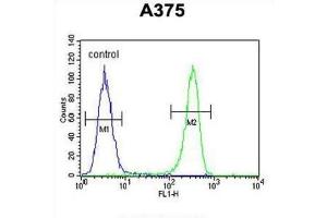 Flow Cytometry (FACS) image for anti-Desmocollin 1 (DSC1) antibody (ABIN3003859) (Desmocollin 1 抗体)