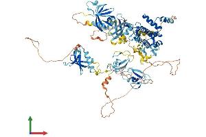 AlphaFold protein structure predicition of Mouse Recombinant Prkd2 Protein, UniprotID Q8BZ03 (PKD2 Protein (AA 1-875) (His tag))