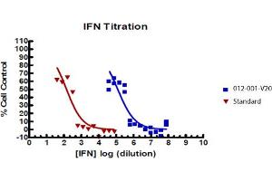 SDS-PAGE of Rat Interferon gamma Recombinant Protein Bioactivity of Rat Interferon gamma Recombinant Protein. (IFNG1-2 蛋白)