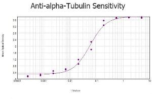 ELISA results of purified Rabbit anti-alpha-Tubulin Antibody tested against BSA-conjugated peptide of immunizing peptide. (alpha Tubulin 抗体  (Internal Region))