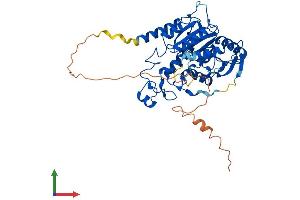 Protein Structure (PS) image for Mannosyl (Alpha-1,6-)-Glycoprotein beta-1,2-N-Acetylglucosaminyltransferase (MGAT2) (AA 1-447) protein (His tag) (ABIN7549372)