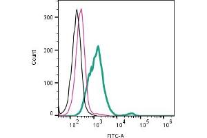 Cell surface detection of CD9 by direct flow cytometry in live intact human MDA- breast adenocarcinoma cell line: + Rabbit IgG Isotype Control-FITC (ABIN7582044). (CD9 抗体  (Extracellular) (FITC))