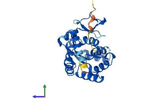 Protein Structure (PS) image for Adenylate Kinase 2 (AK2) (AA 1-239) protein (His tag) (ABIN7548728)