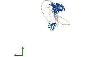 Protein Structure (PS) image for Protein Kinase C and Casein Kinase Substrate in Neurons 1 (PACSIN1) (AA 1-441) protein (His tag) (ABIN7563926)