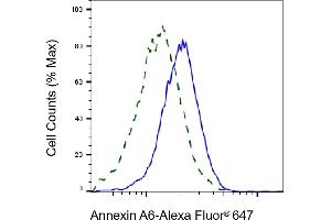 Validation of Annexin A6 knockdown using flow cytometry. (Recombinant ANXA6 抗体)