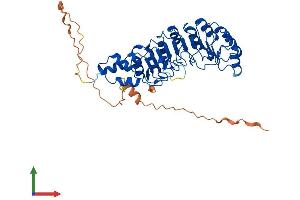 Protein Structure (PS) image for S-Phase Kinase-Associated Protein 2 (SKP2) (AA 1-424) protein (His tag) (ABIN7555572)