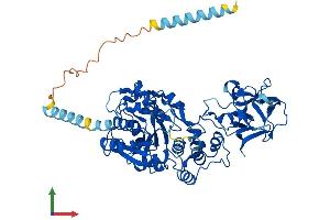 AlphaFold protein structure predicition of Mouse Recombinant Galnt17 Protein, UniprotID Q7TT15