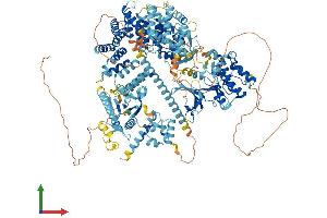 Protein Structure (PS) image for Mitogen-Activated Protein Kinase Kinase Kinase 15 (MAP3K15) (AA 1-1313) protein (His tag) (ABIN7554436)