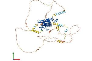 Protein Structure (PS) image for Cell Division Cycle 25 Homolog B (S. Pombe) (CDC25B) (AA 1-576) protein (His tag) (ABIN7563084)