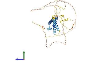 Protein Structure (PS) image for Basic Helix-Loop-Helix Family, Member E40 (BHLHE40) (AA 1-412) protein (His tag) (ABIN7552804)