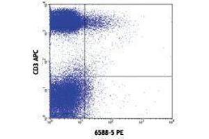 Flow Cytometry (FACS) image for anti-Chemokine (C-C Motif) Receptor 10 (CCR10) antibody (ABIN2664100) (CCR10 抗体)