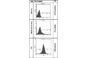 FACS analysis of negative control PC3-MM2 cells only, mock control cells staining with 2nd antibodies and CDH11 stained PC3-MM2 cells. (OB Cadherin 抗体  (AA 54-612))