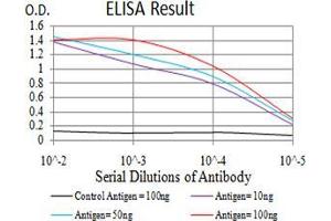Black line: Control Antigen (100 ng), Purple line: Antigen(10 ng), Blue line: Antigen (50 ng), Red line: Antigen (100 ng), (ATG13 抗体  (AA 339-550))