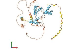 AlphaFold protein structure predicition of Human Recombinant FEZF1 Protein, UniprotID A0PJY2