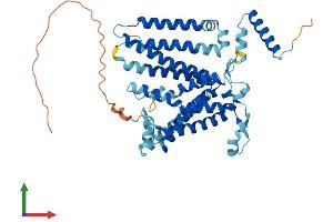 Protein Structure (PS) image for CDP-Diacylglycerol Synthase (Phosphatidate Cytidylyltransferase) 2 (CDS2) (AA 1-445) protein (His tag) (ABIN7553118)