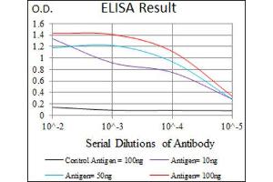 ELISA image for anti-Myocyte Enhancer Factor 2C (MEF2C) (AA 1-125) antibody (ABIN1846463) (MEF2C 抗体  (AA 1-125))