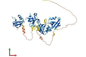 Protein Structure (PS) image for PDZ Domain Containing 1 (PDZK1) (AA 1-519) protein (His tag) (ABIN7565090)