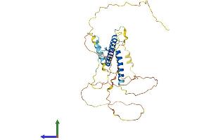 Protein Structure (PS) image for Pancreas Specific Transcription Factor, 1a (PTF1A) (AA 1-328) protein (His tag) (ABIN7555092)