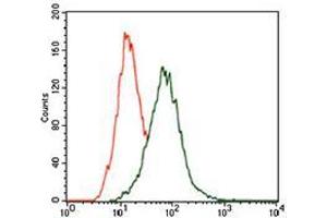 Flow cytometric analysis of HeLa cells using MAPK14 mouse mAb (green) and negative control (red).