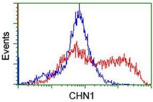 Flow Cytometry (FACS) image for anti-rho GTPase Activating Protein 2 (ARHGAP2) antibody (ABIN1499627) (CHN1 抗体)