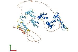 AlphaFold protein structure predicition of Human Recombinant ZNF587 Protein, UniprotID Q96SQ5