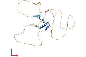 Protein Structure (PS) image for Single Stranded DNA Binding Protein 3 (SSBP3) (AA 1-388) protein (His tag) (ABIN7546393)
