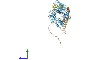 AlphaFold protein structure predicition of Human Recombinant ZNF430 Protein, UniprotID Q9H8G1