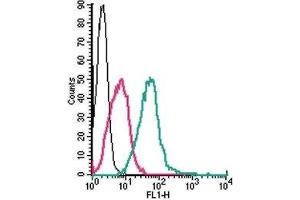 Flow Cytometry (FACS) image for anti-Purinergic Receptor P2Y, G-Protein Coupled, 1 (P2RY1) (AA 207-220), (Extracellular) antibody (FITC) (ABIN7043586)